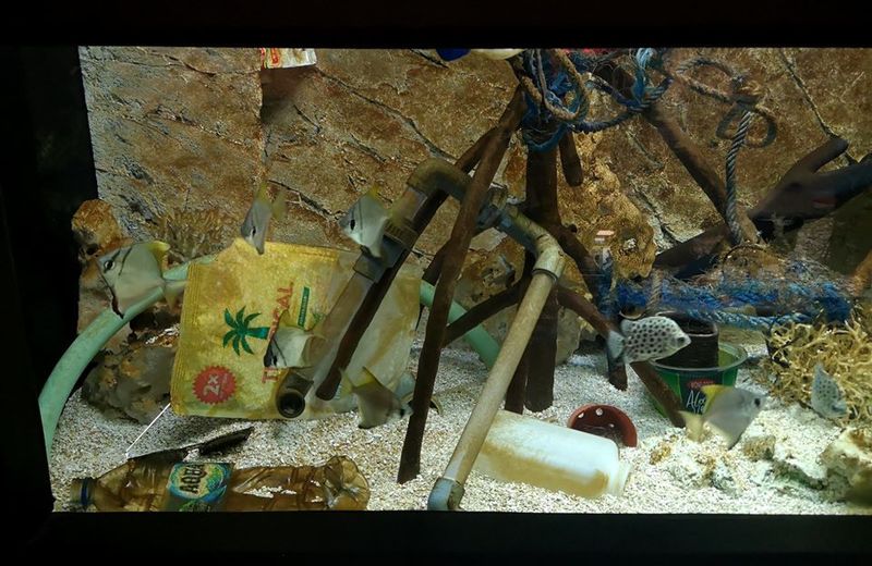 Brno zoo plastic pollution aquarium
